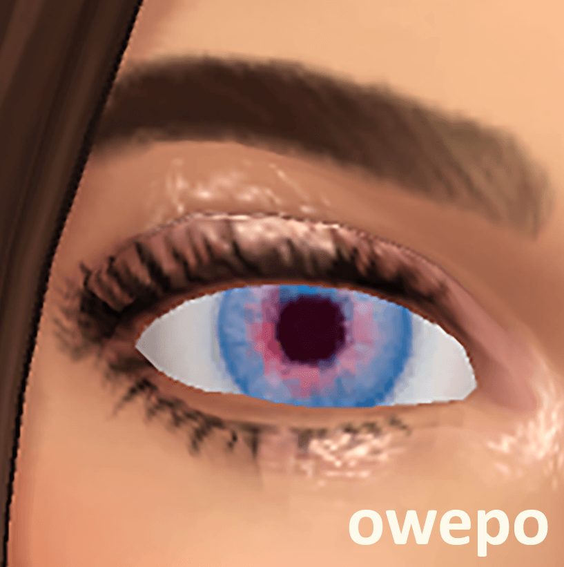 2.png