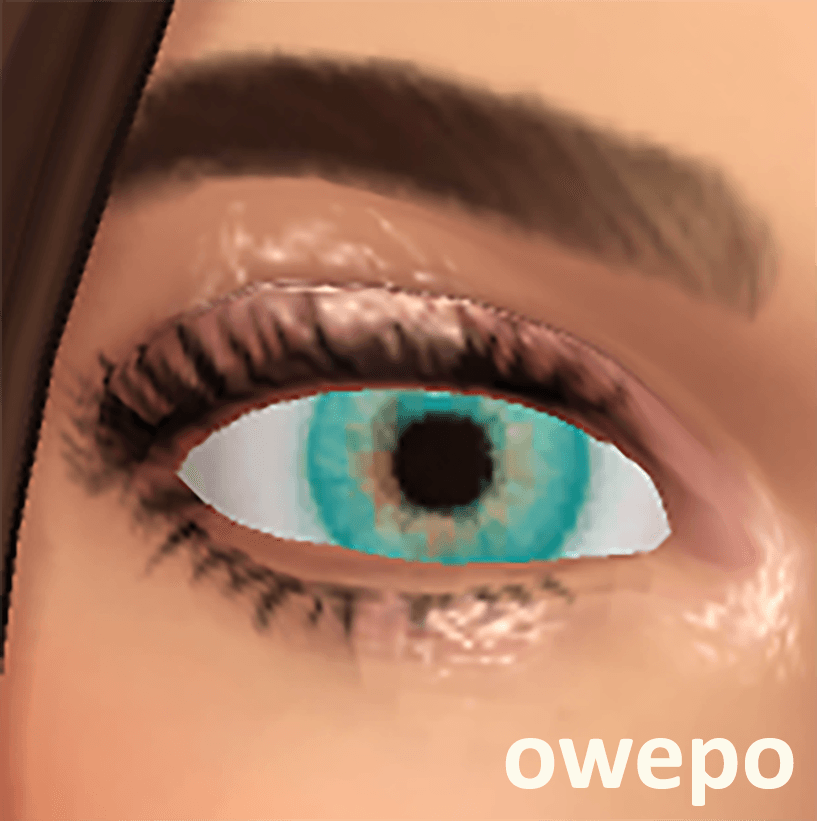 1.png
