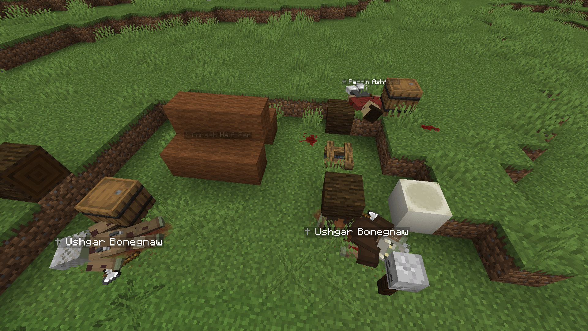 A campsite where something went wrong