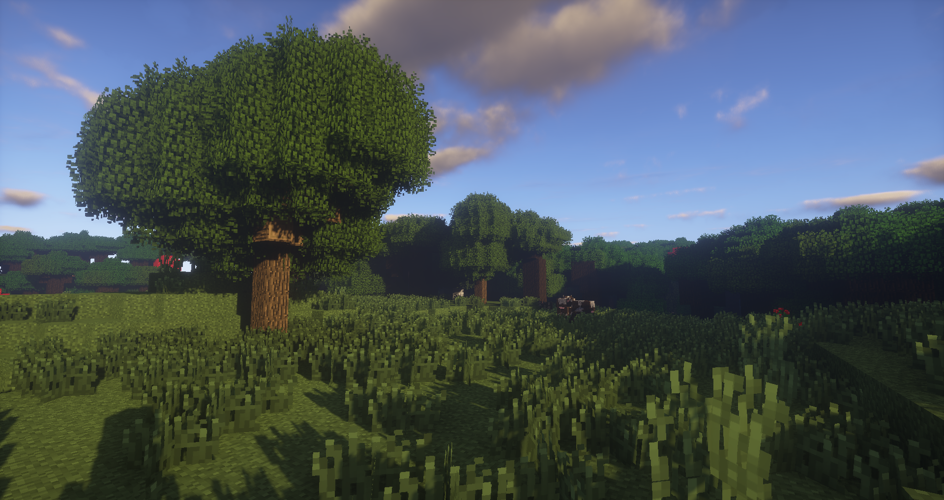 Random ingame screenshot
