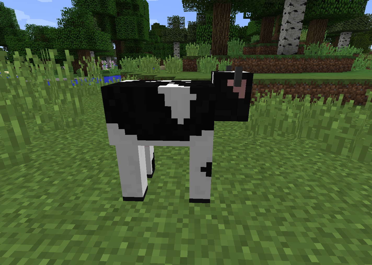 Black Cow