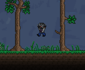 Ninja