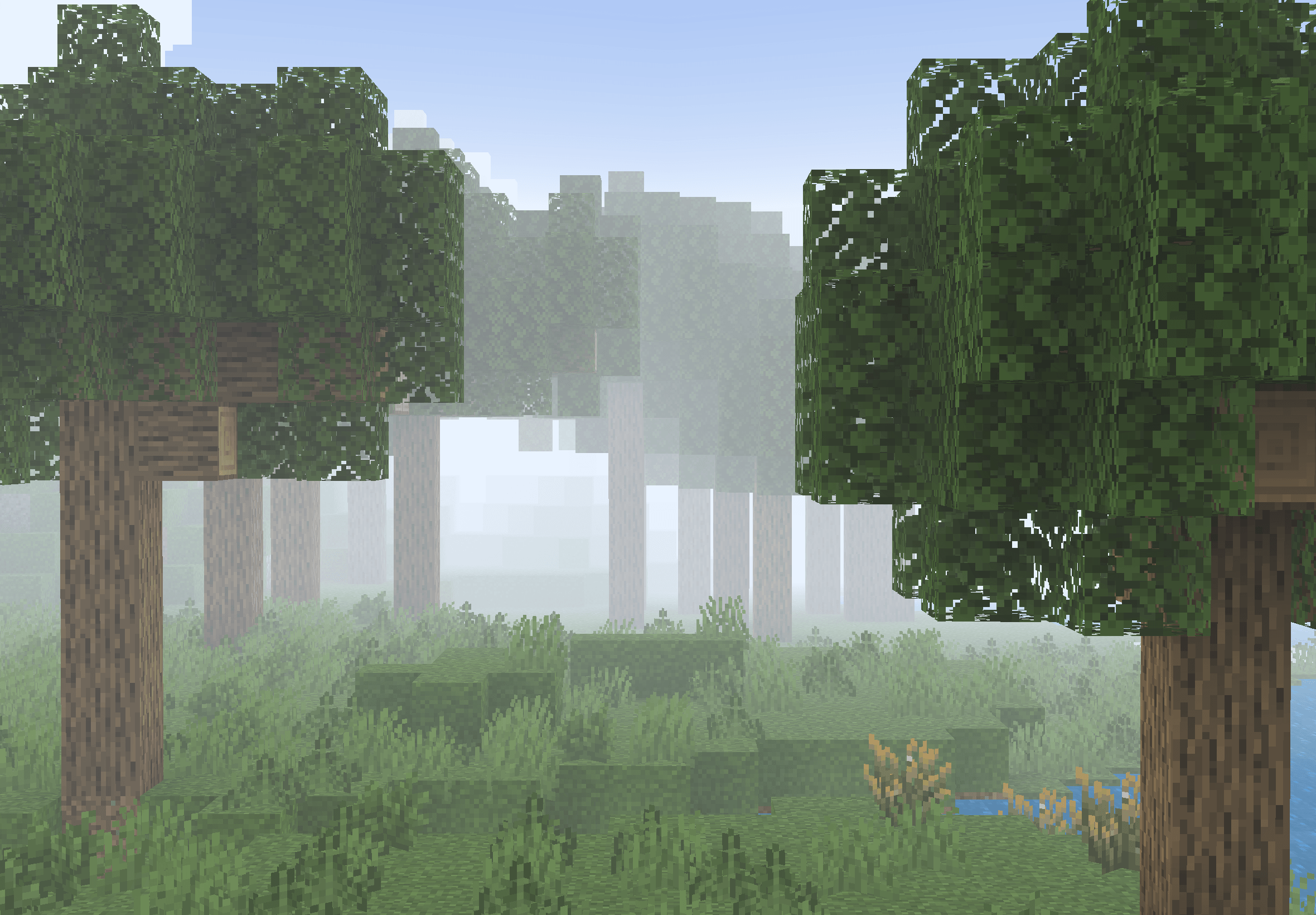 IMG_2965.png