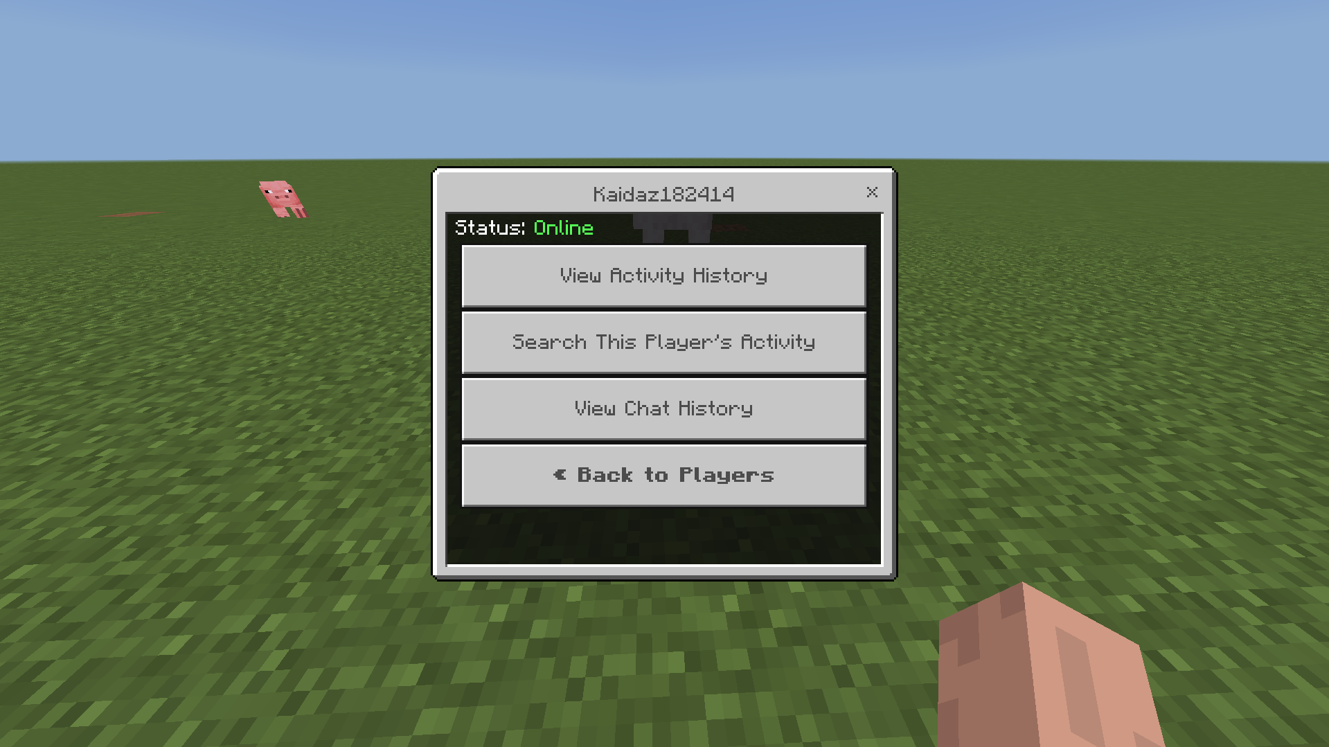 Thumbnail Info you can view about a player