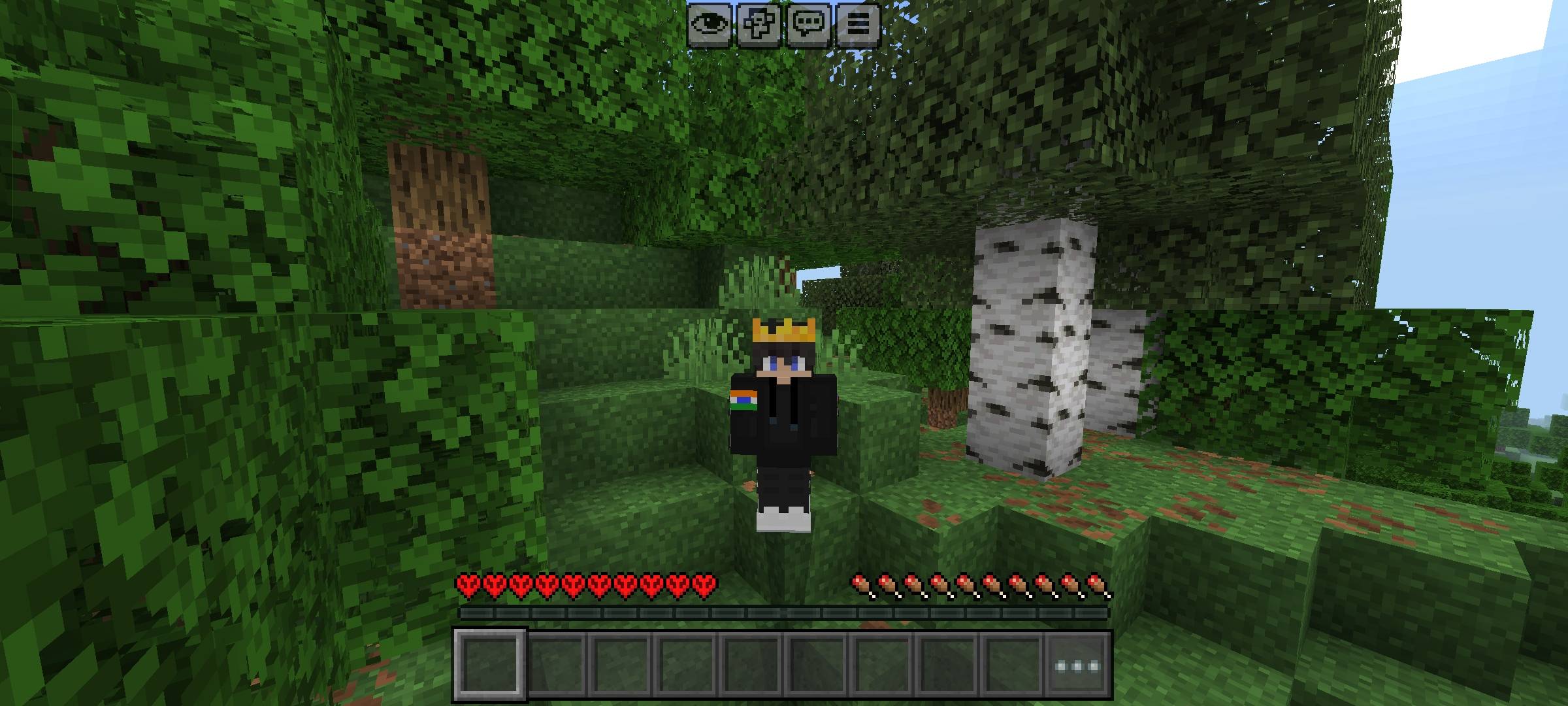 FakeCore thumbnail 1