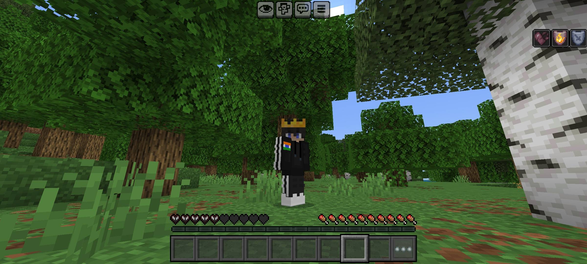 FakeCore thumbnail 2