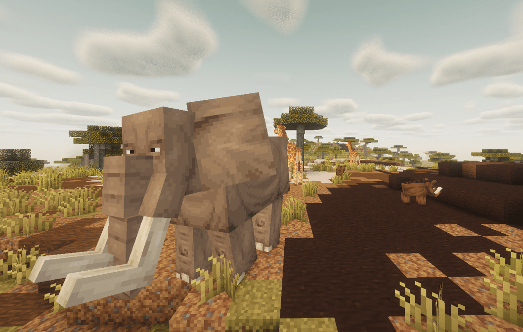 Thumbnail Fauna e Flora