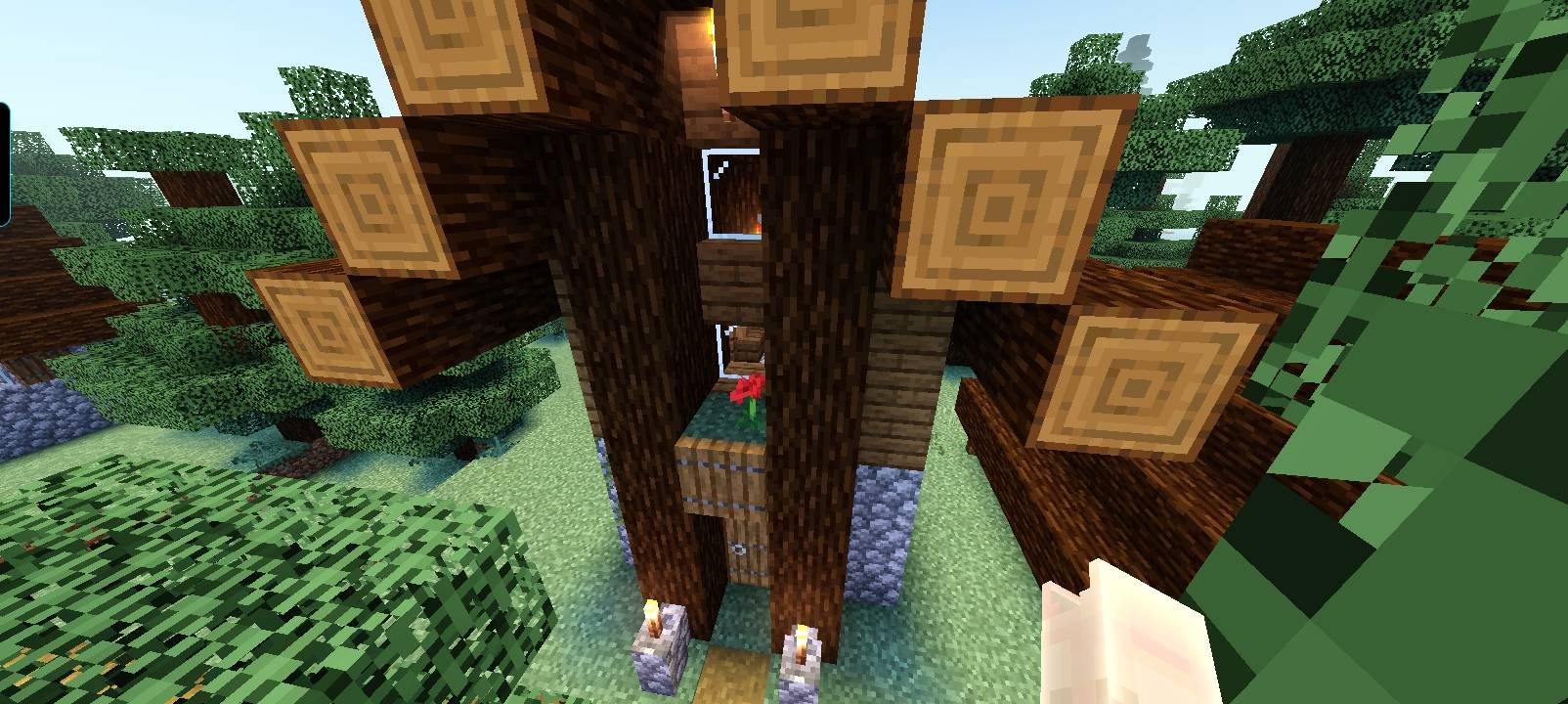 250495.jpg