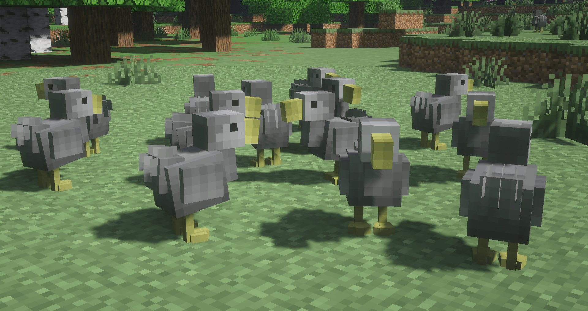 Dodos.png