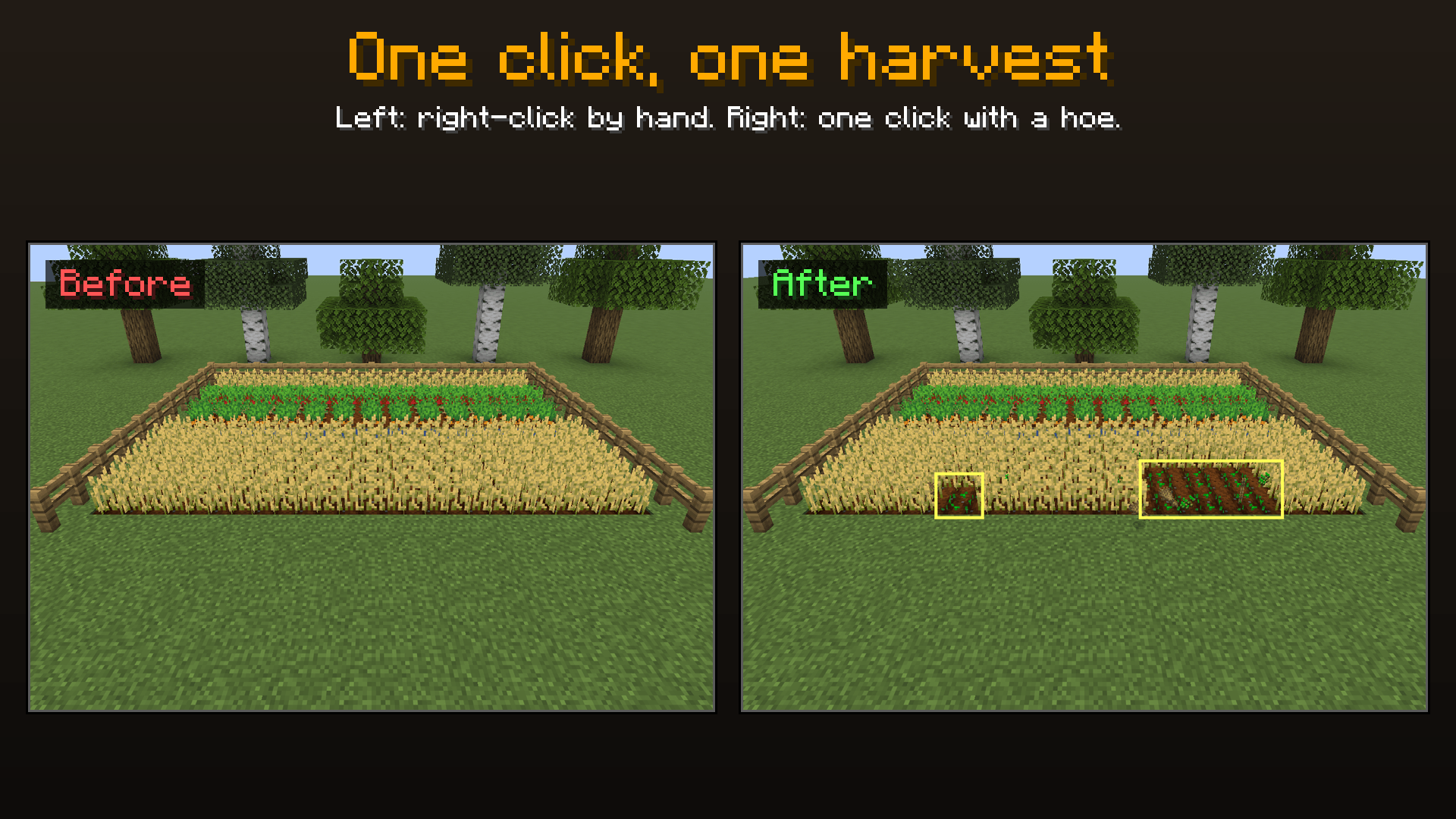 1_field.png