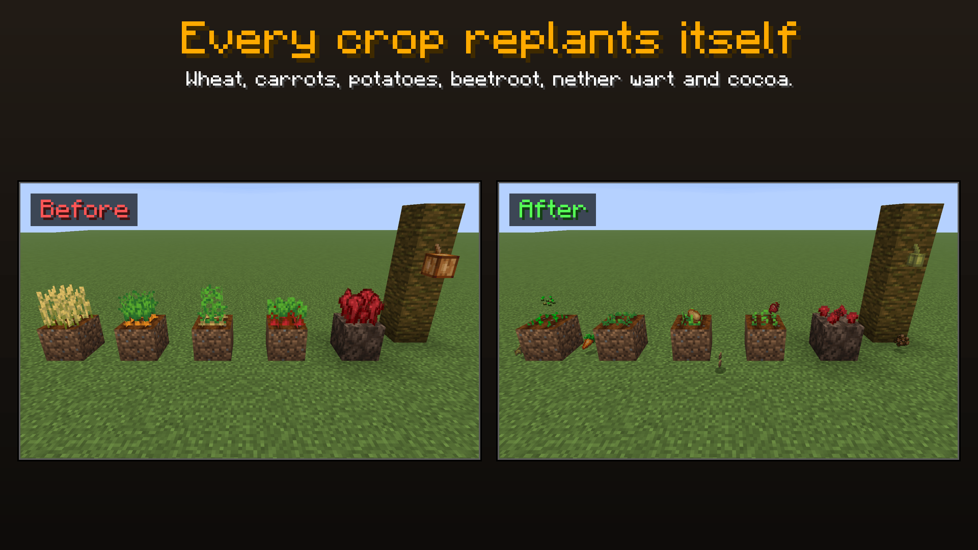 2_every_crop.png