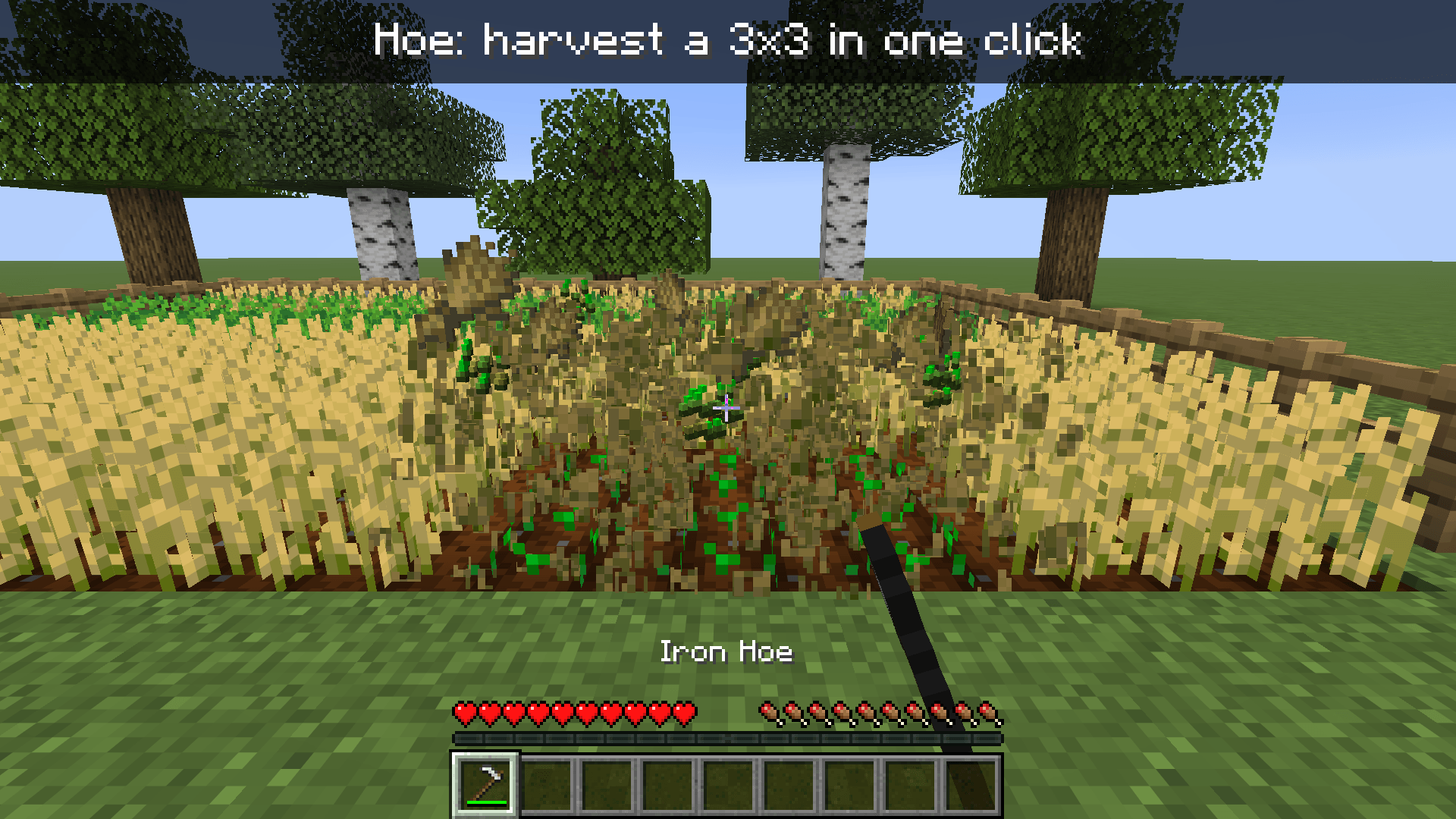 3_in_action_hoe.png