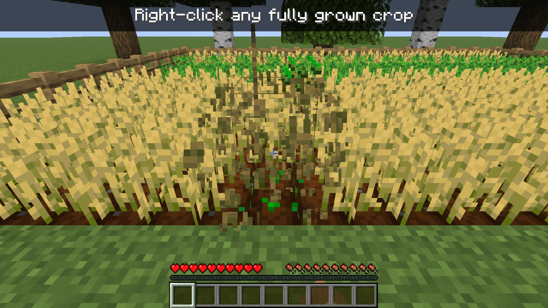 4_in_action_hand.png