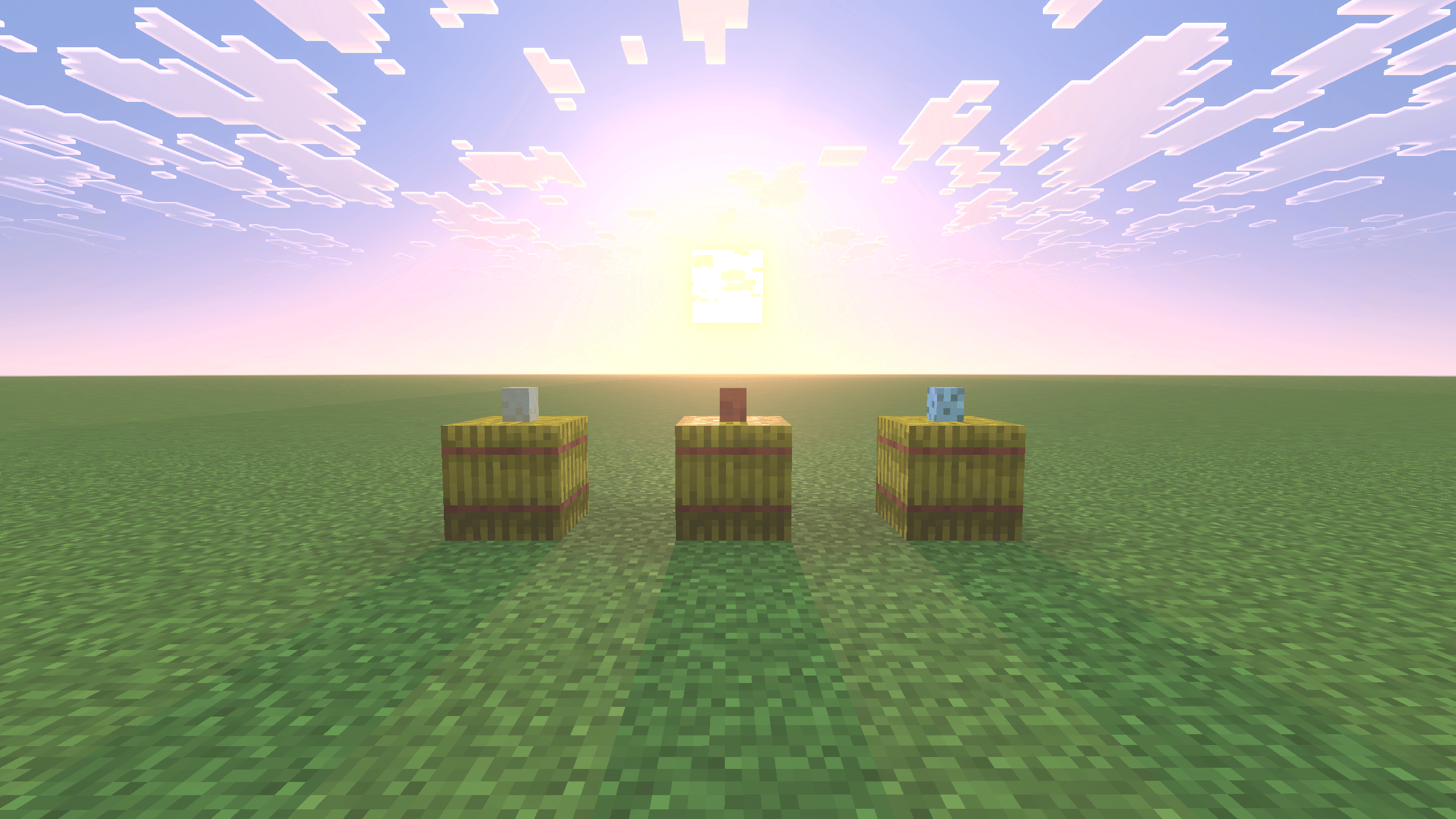 Real Chickens — screenshot 1