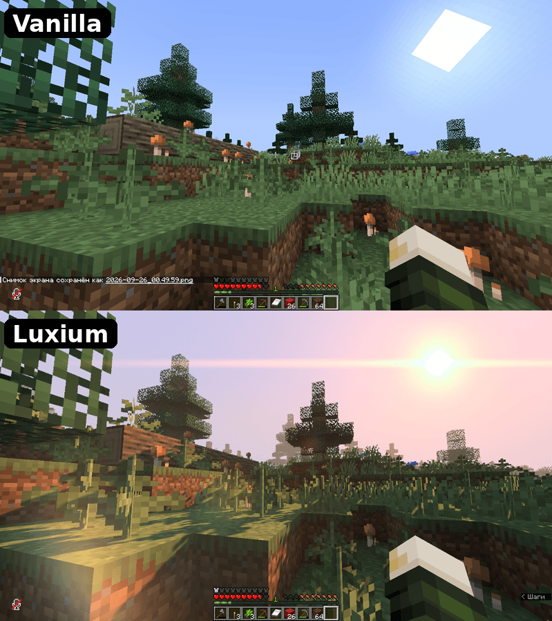 collage_3.png