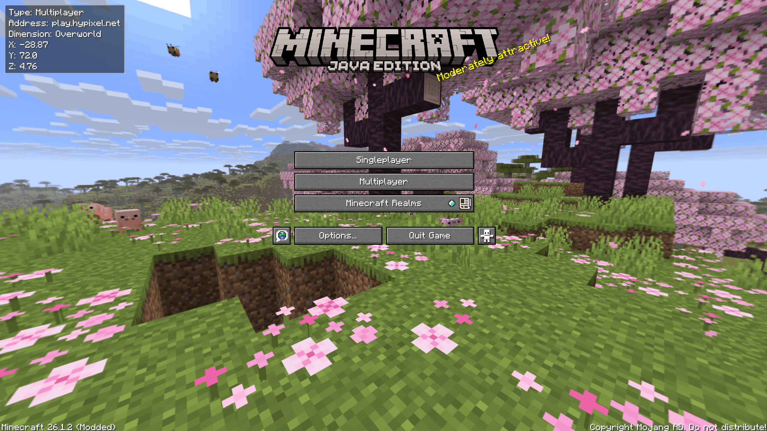 This is what the title screen menu looks like if the last logout was on a multiplayer server.