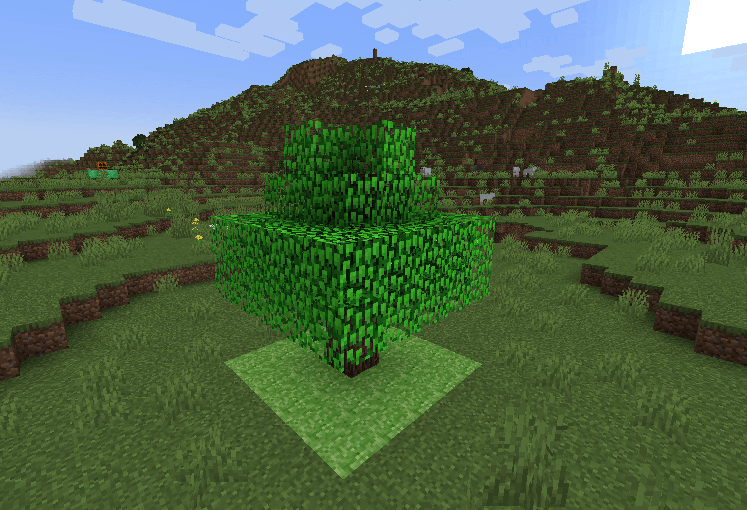 Thumbnail just a tree lol