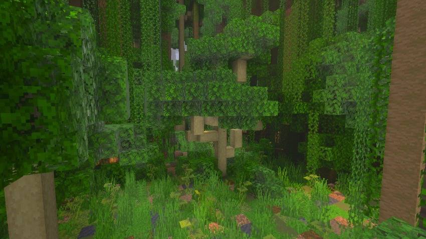 ⟬Amazon Rainforest Map⟭ — screenshot 3