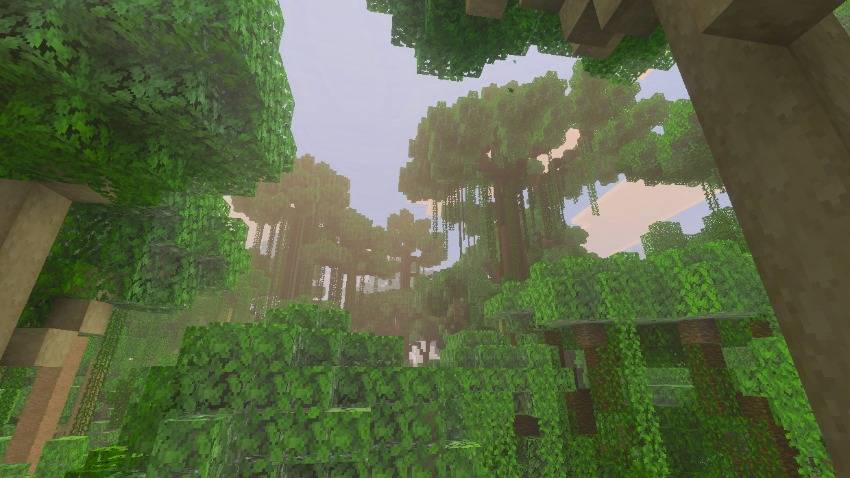 ⟬Amazon Rainforest Map⟭ — screenshot 5