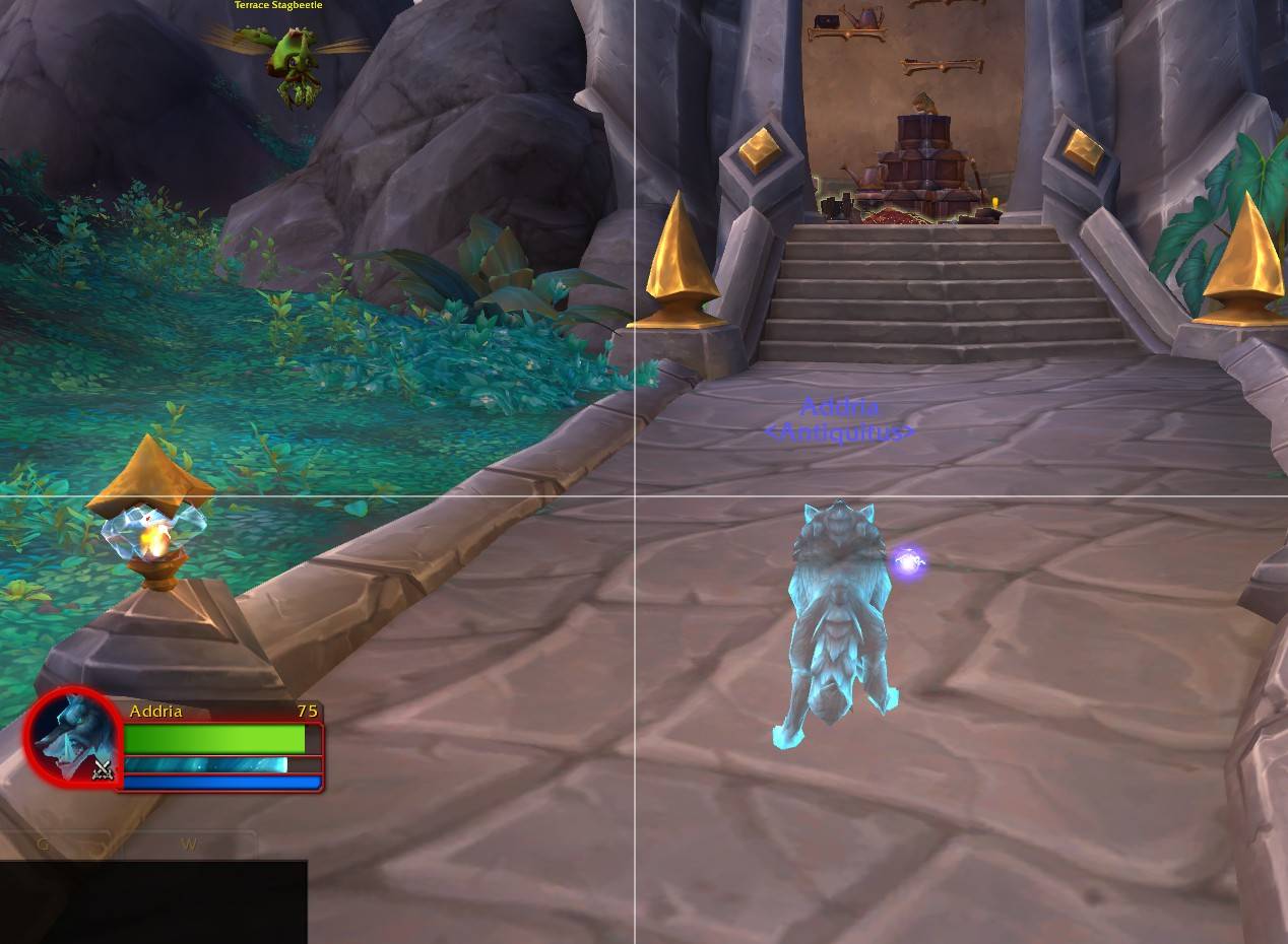 where mouse 1.jpg