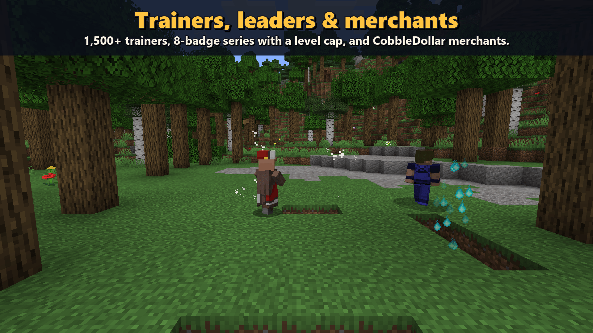 2_trainers.png