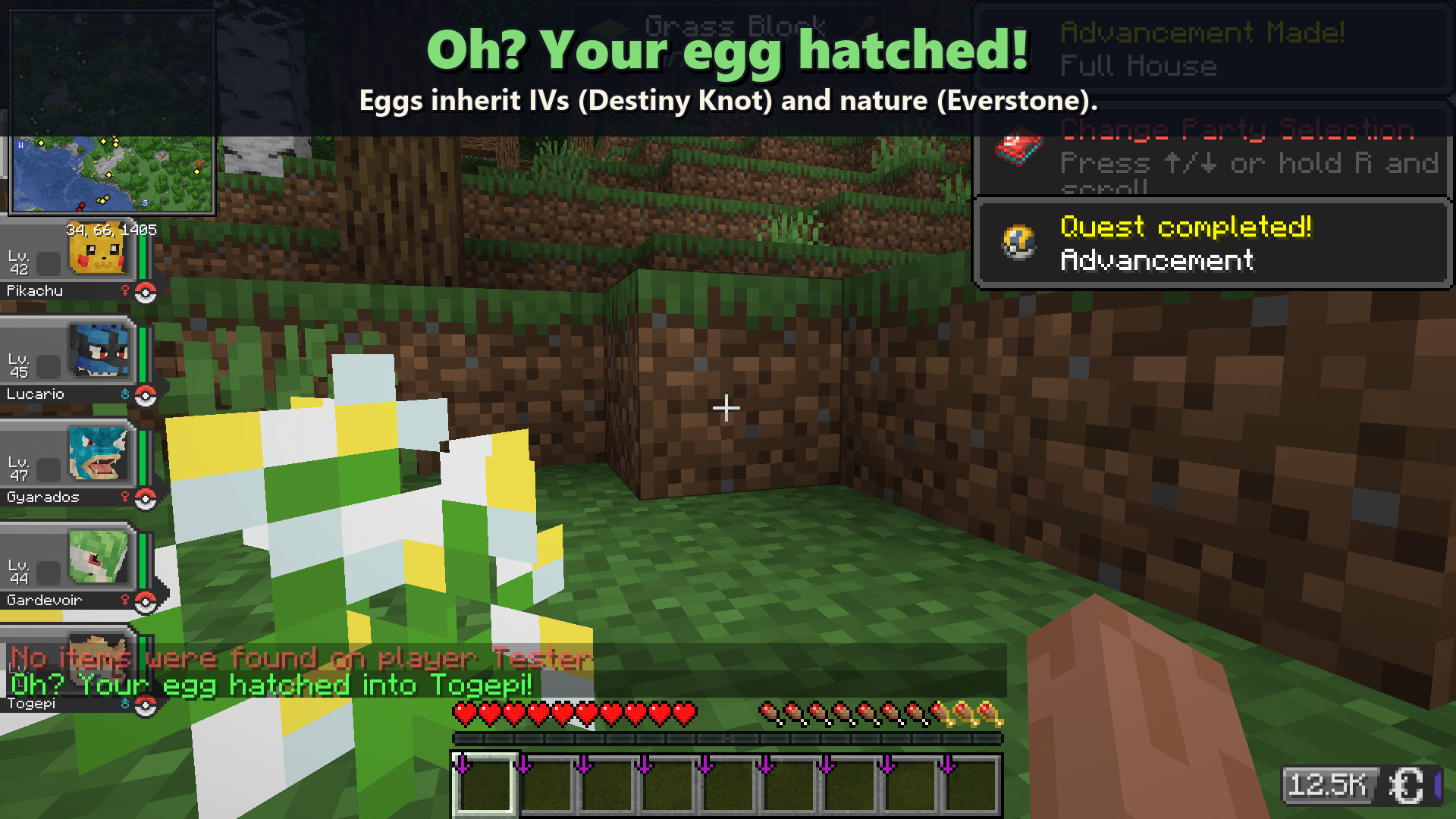 4_hatch.png