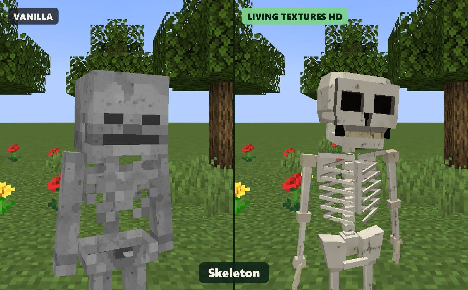 compare_skeleton_1600.jpg