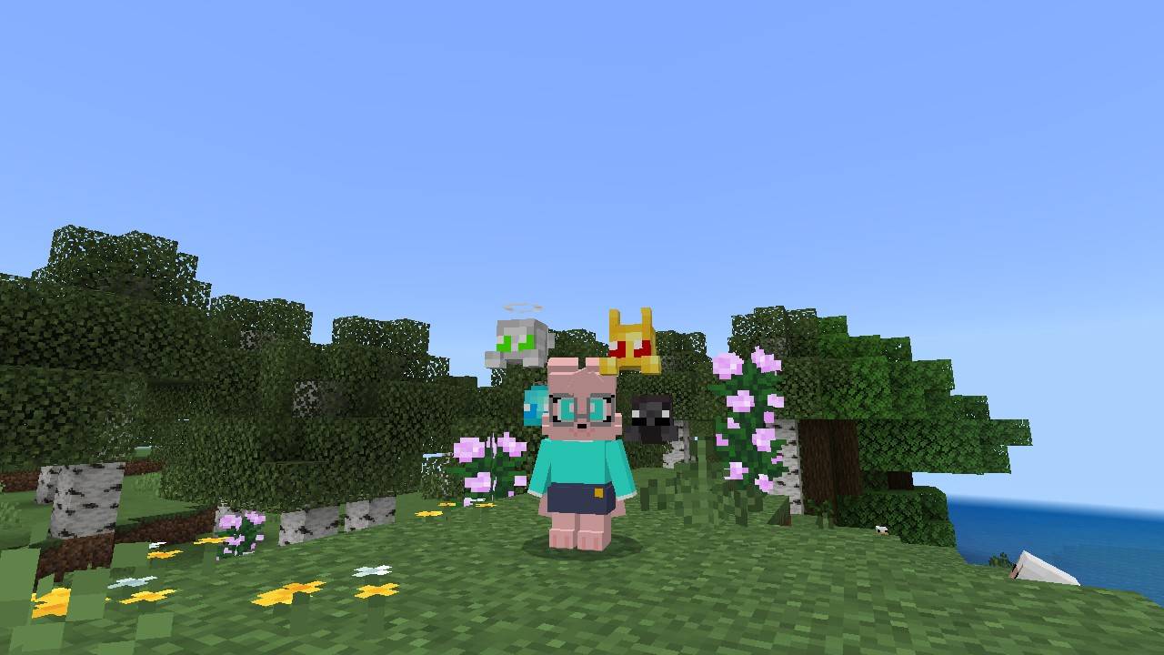 Armor Wisp thumbnail 1