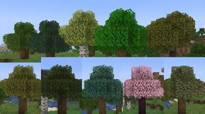 Overgrown leaves thumbnail 2