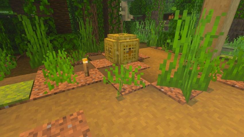 ⟬Amazon Rainforest Map⟭ — screenshot 4