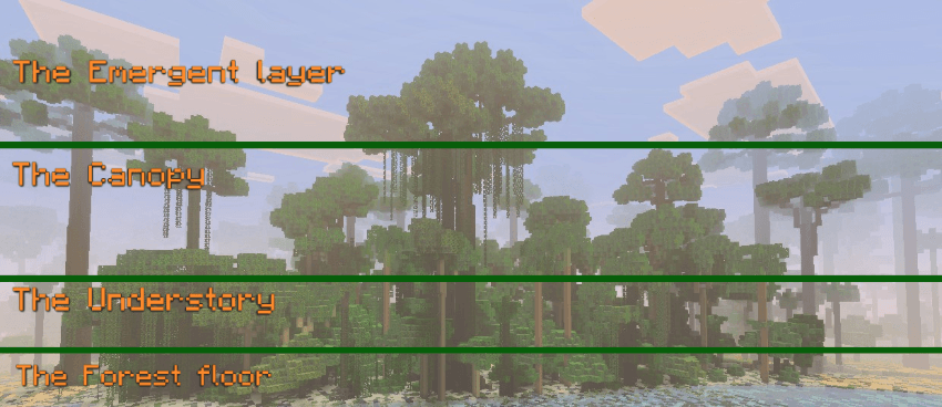 ⟬Amazon Rainforest Map⟭ — screenshot 2