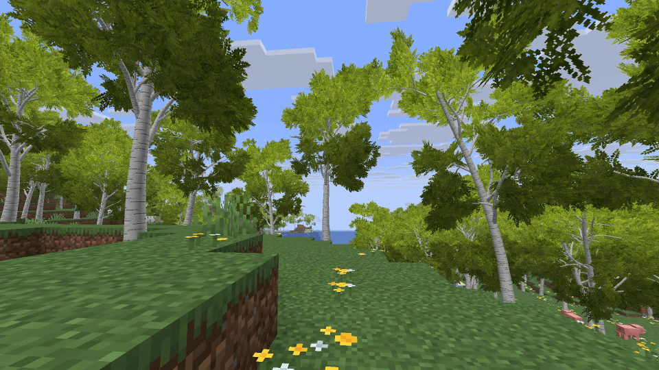 birch-forest.png