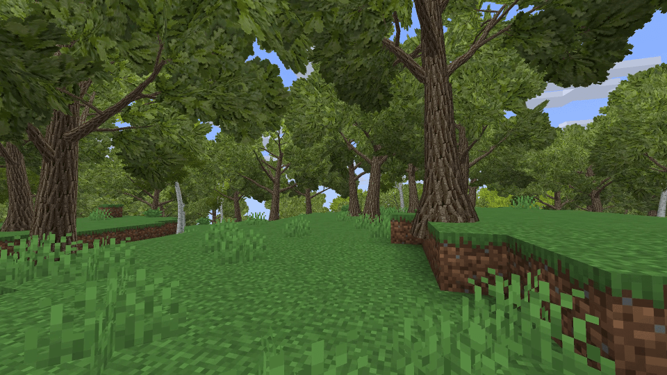oak-forest.png