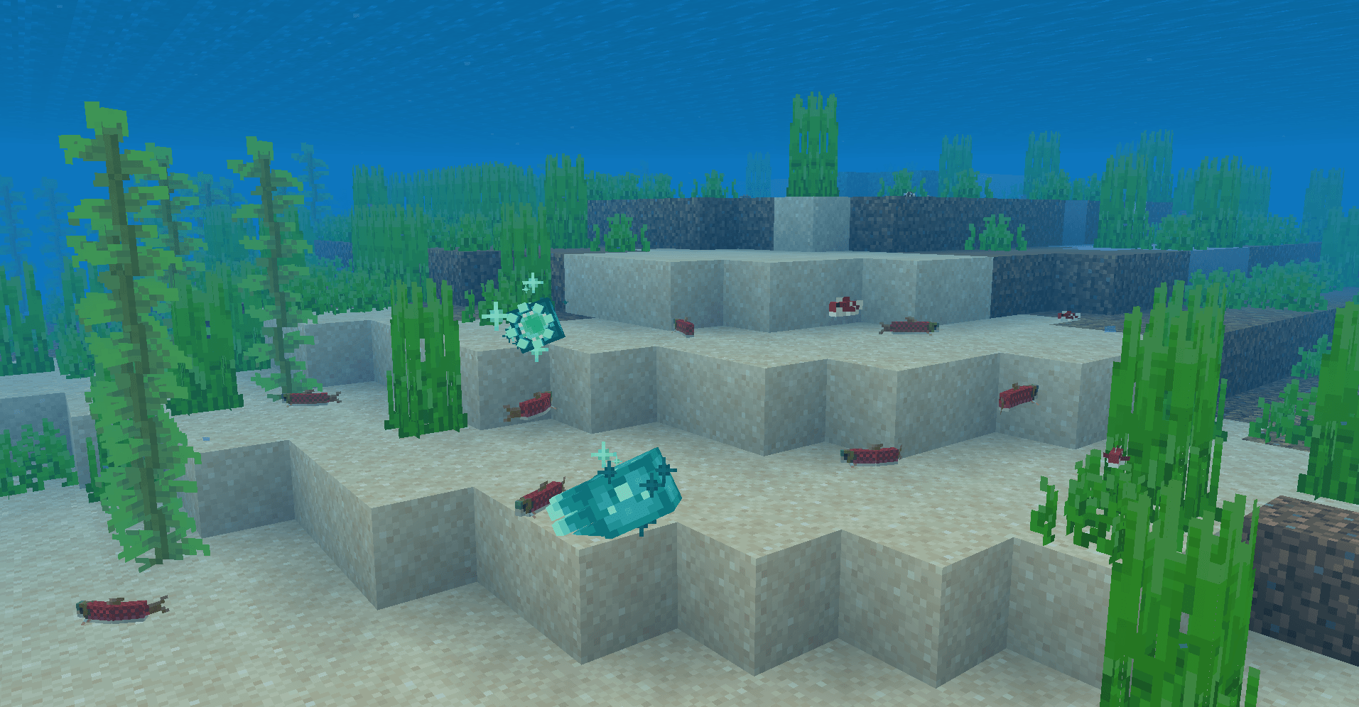 Ocean