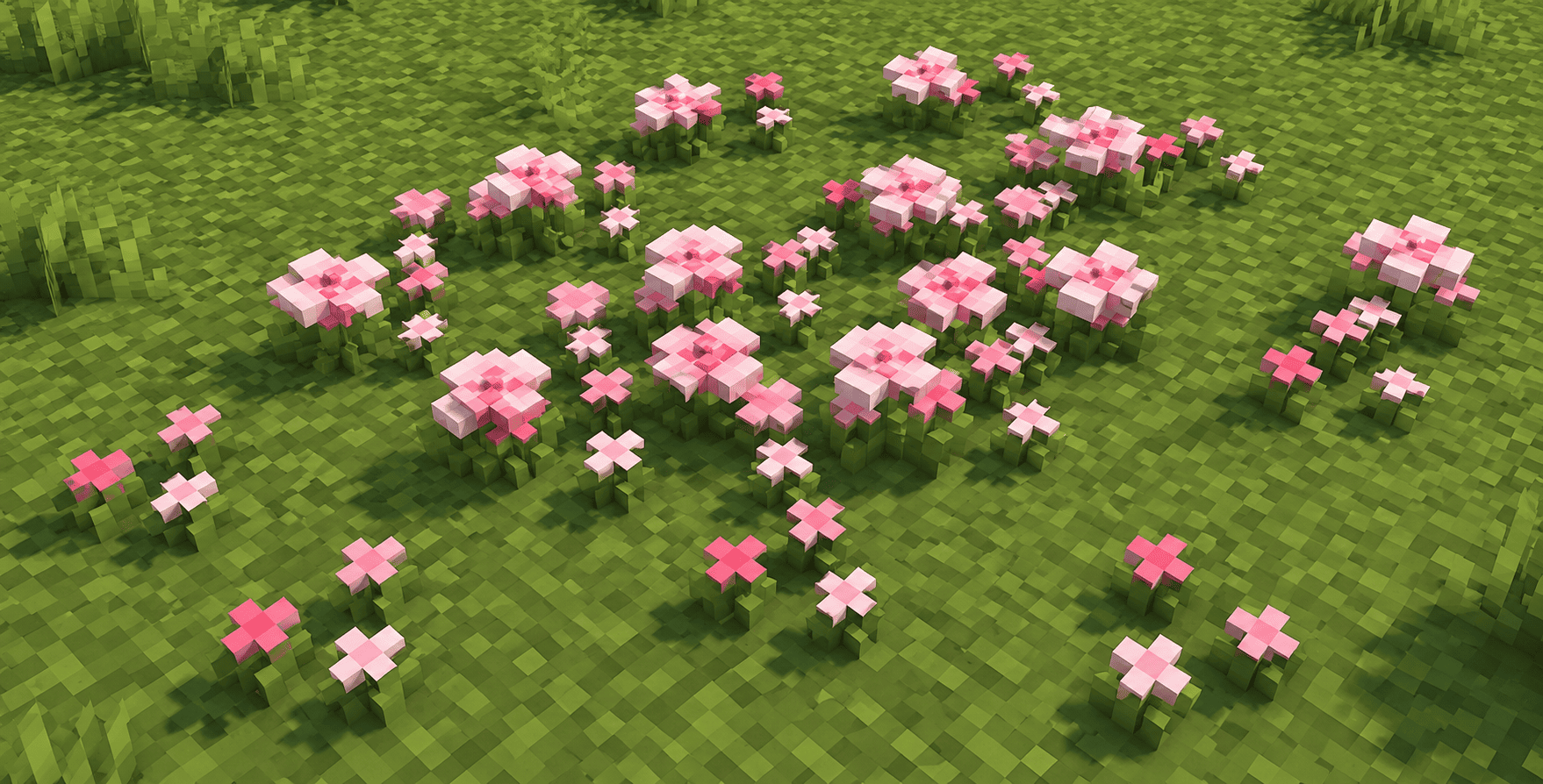 083bdd94-07db-457f-a29d-bbae5c5d651e-1-png.png