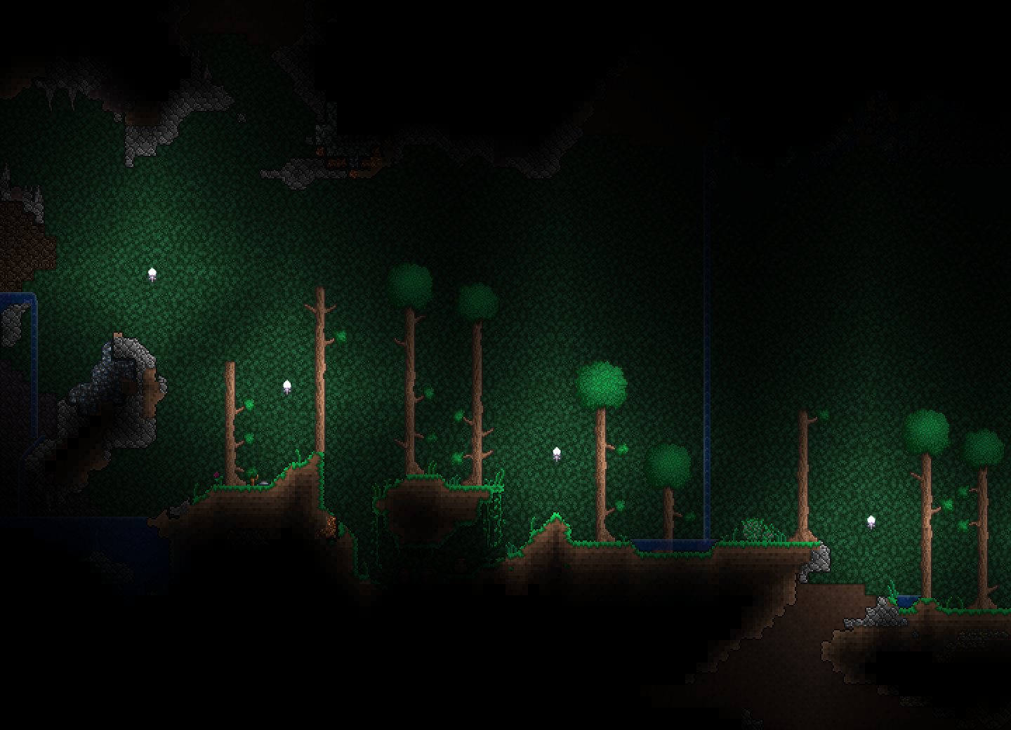 Forest Biome