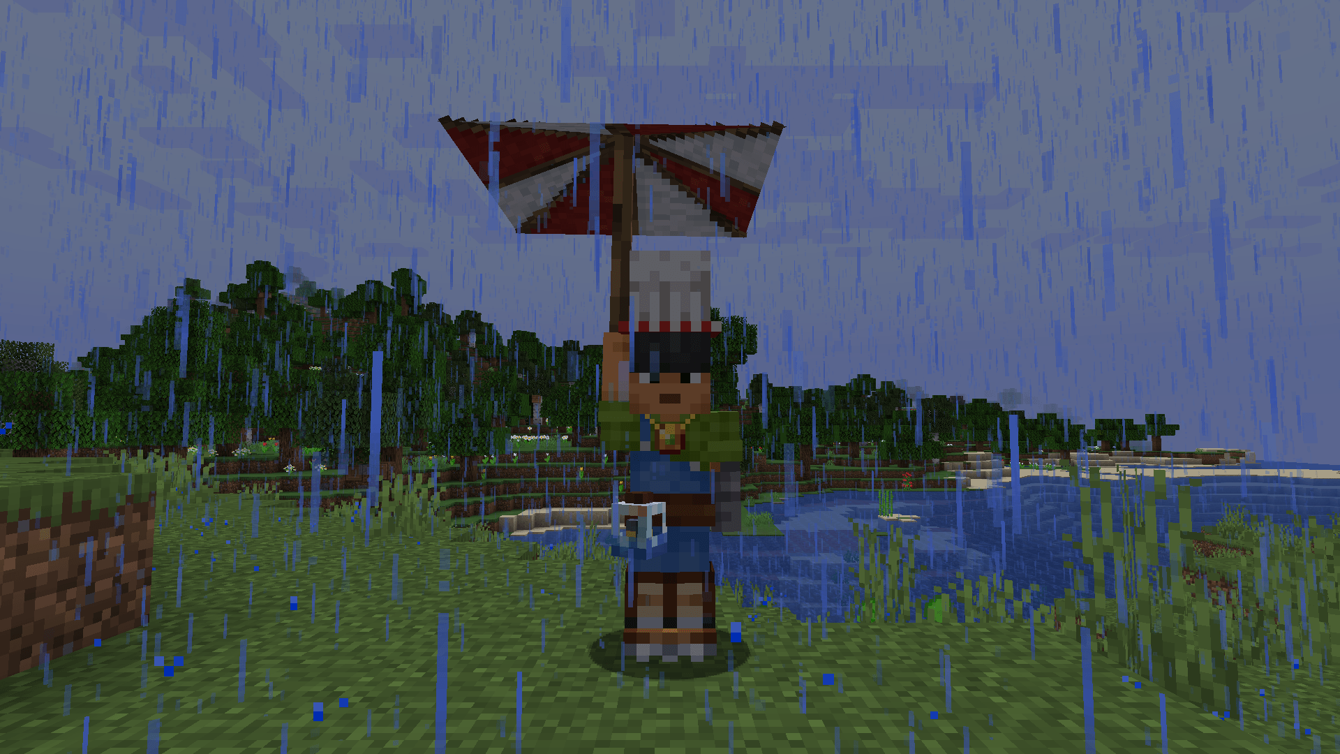 The Umbrella held in hand