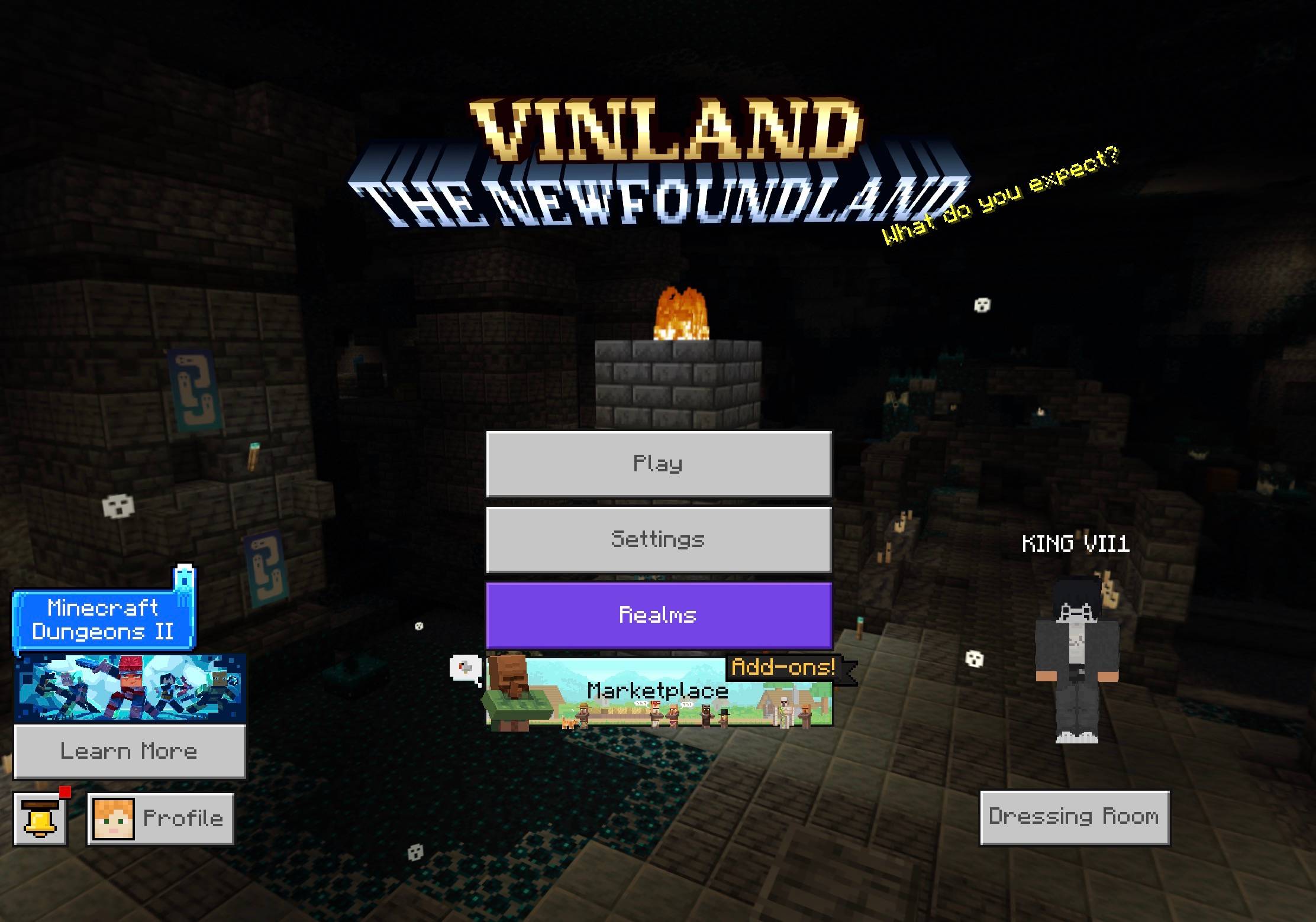 Season Studio SMP (Viking Age) — screenshot 3