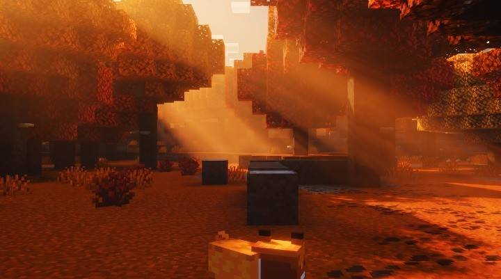 Sunrays VISUALS thumbnail 4