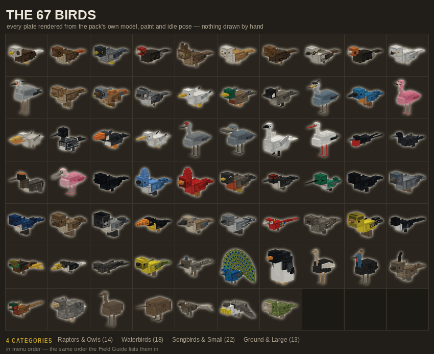 Animal Fun Zoo - Birds — screenshot 8