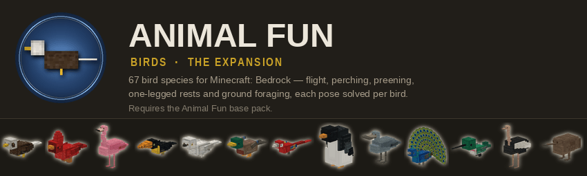 Animal Fun: Birds