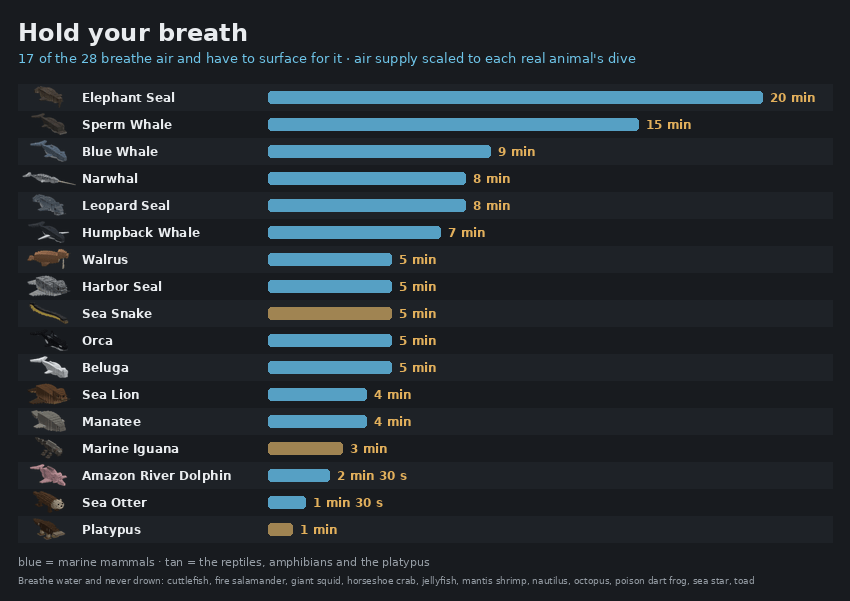 Air supply for the twenty air-breathing species