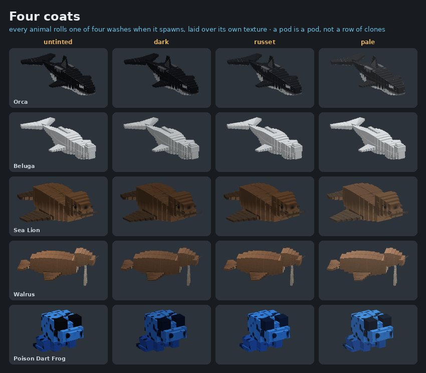 Five species in each of their four coats