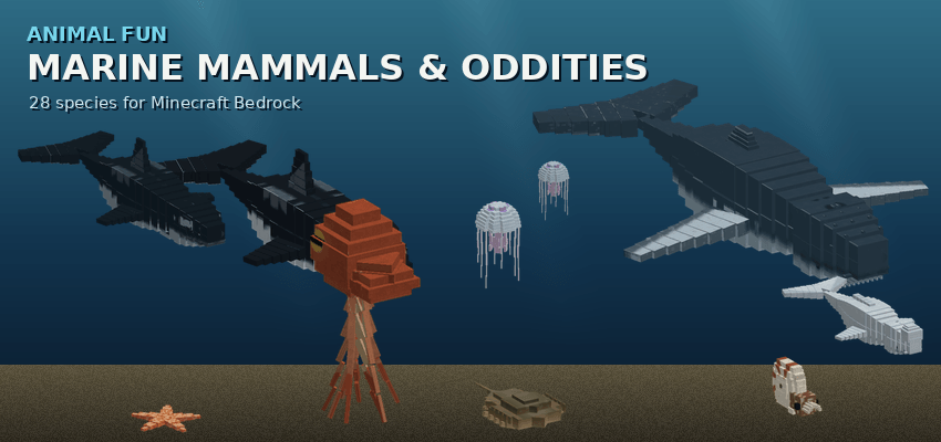 Two orcas, a humpback whale, a beluga, jellyfish, an octopus, a horseshoe crab, a sea star and a nautilus