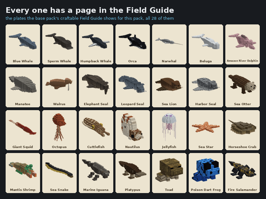 The 28 Field Guide plates