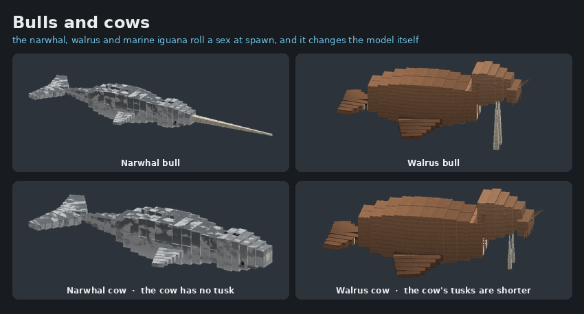 Narwhal bull and cow, walrus bull and cow