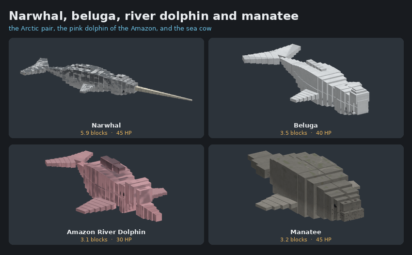 The narwhal, beluga, Amazon river dolphin and manatee