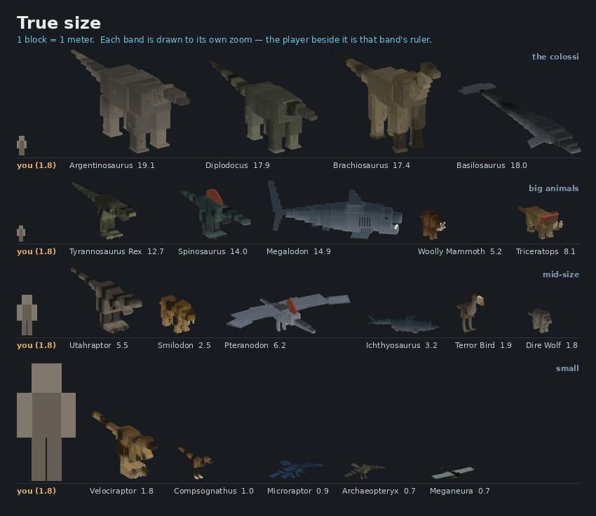 Sizes compared to a player