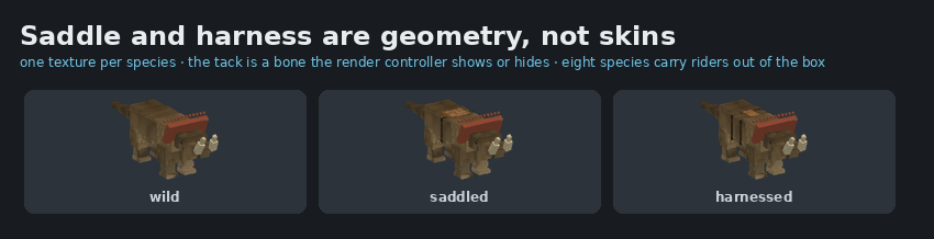 Wild, saddled and harnessed