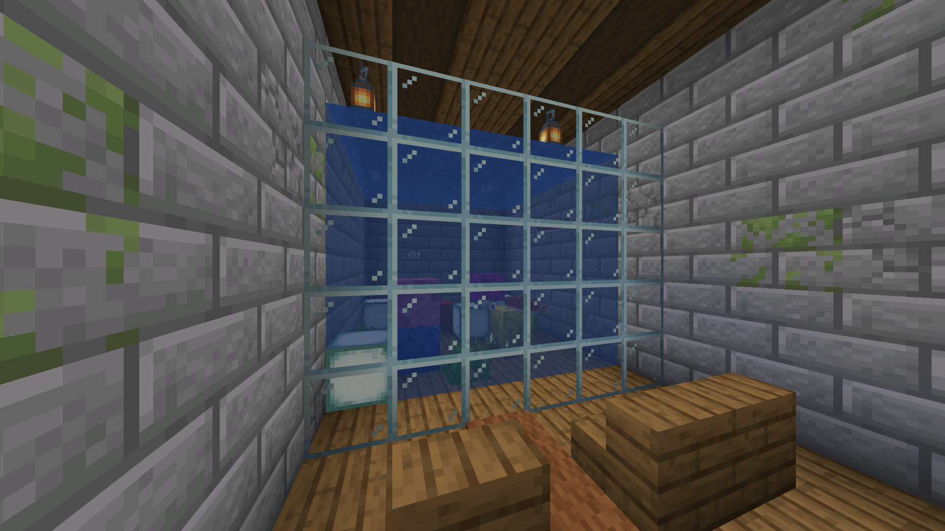 06-aquarium.png